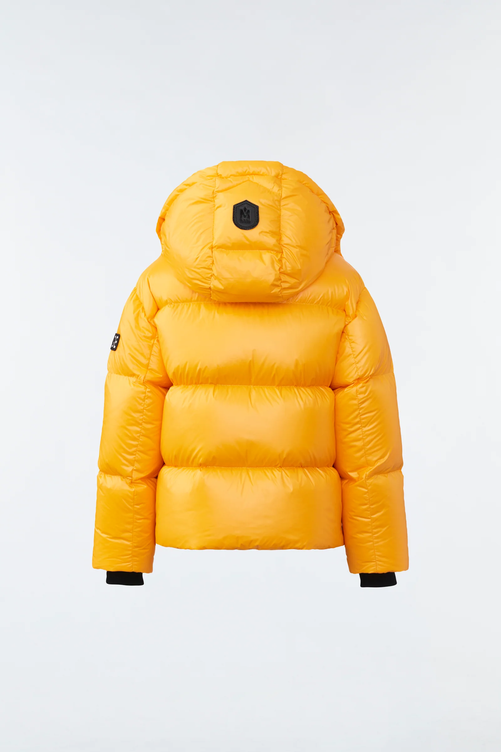 JESSE - Image 13