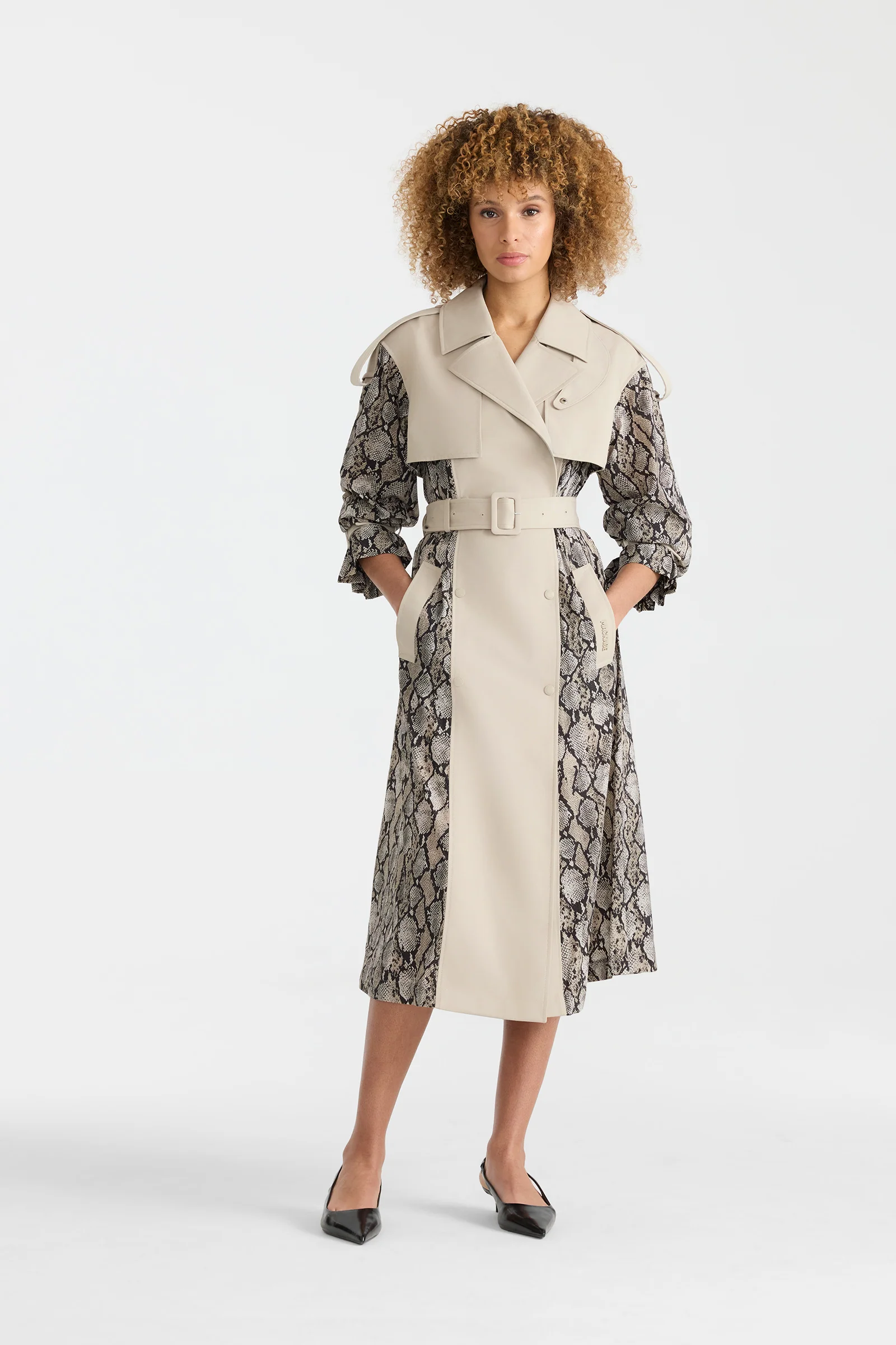 ZONOMI-PR - Image 10