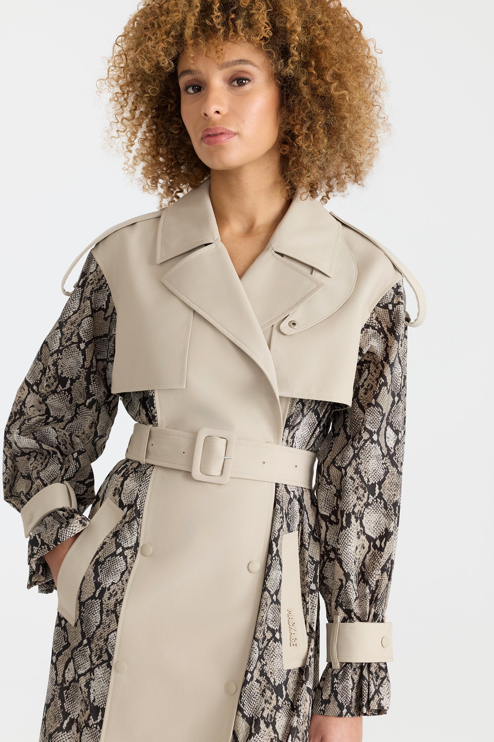 ZONOMI-PR - Image 11