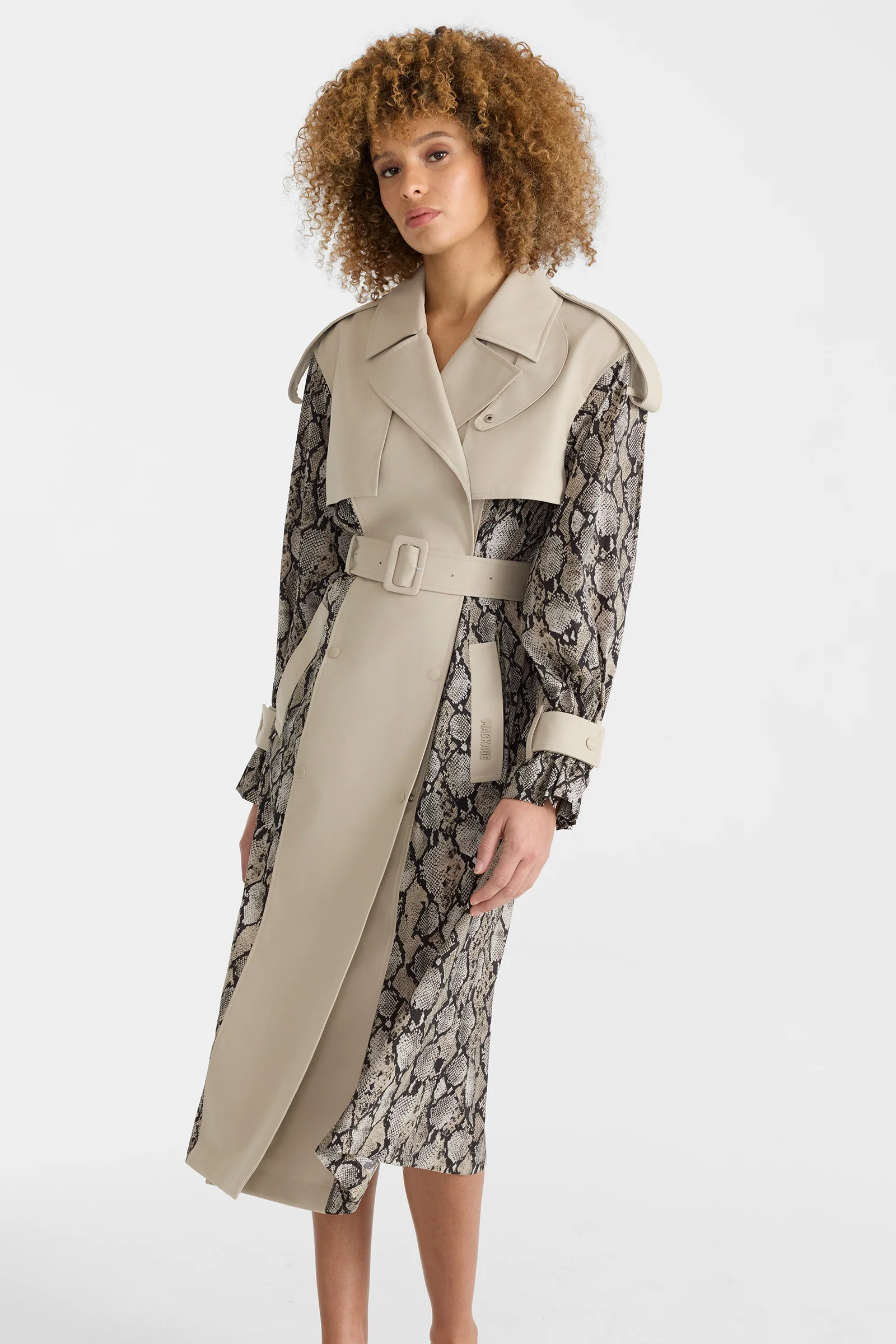 ZONOMI-PR - Image 4