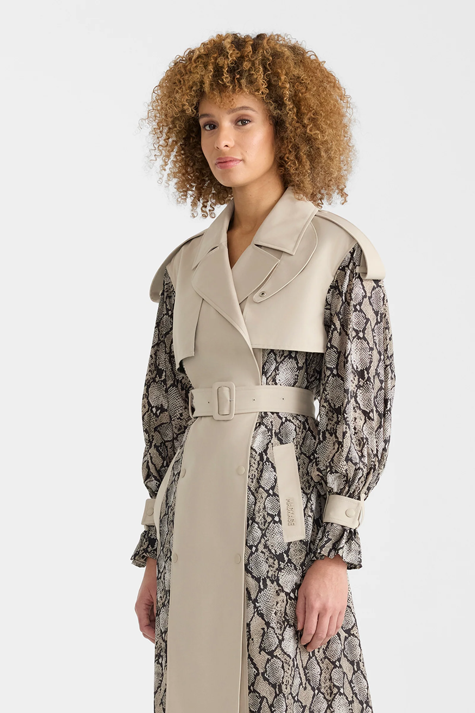 ZONOMI-PR - Image 6